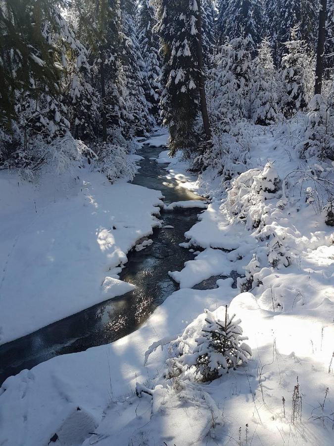 Skalny Zakatek Z Grota Solna Na Wylacznosc Łapsze Niżne Exteriör bild